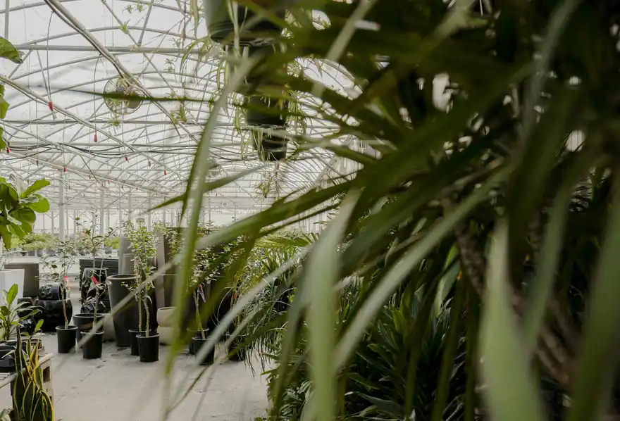 Inside the MistBench showroom and planted courtyard