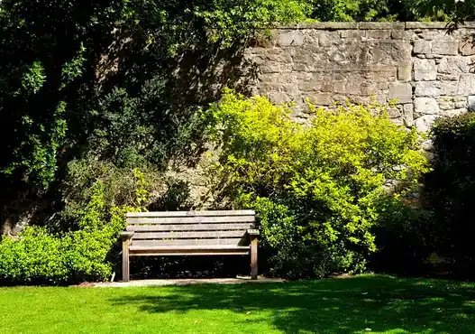 Brookline Teak Garden Bench styled outdoors