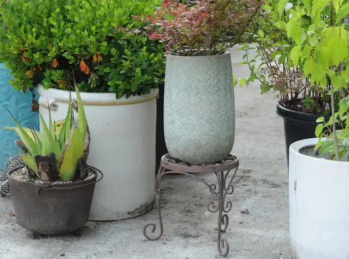 Greenery & Planters
